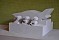 Polyurethane, (frontside)